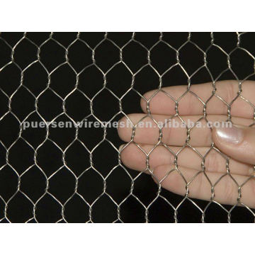 Mesh hexagonal (Anping Factory)